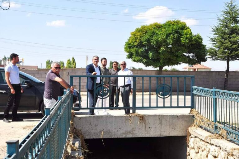 Karaatlı Beldesi Taşkın Koruma Deresi İncelemesi